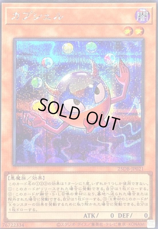 画像1: カプシェル(シークレット) (1)