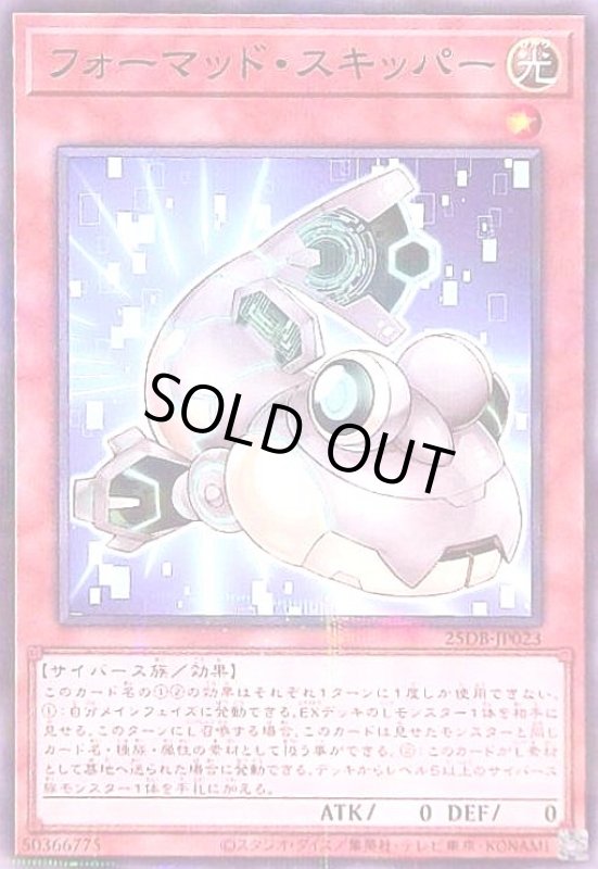 画像1: フォーマッド・スキッパー(ノーマルパラレル) (1)