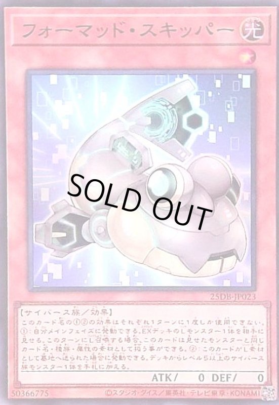 画像1: フォーマッド・スキッパー(スーパー) (1)