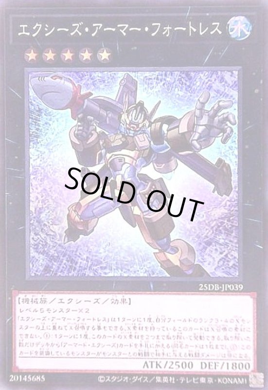 画像1: エクシーズ・アーマー・フォートレス(スーパー) (1)