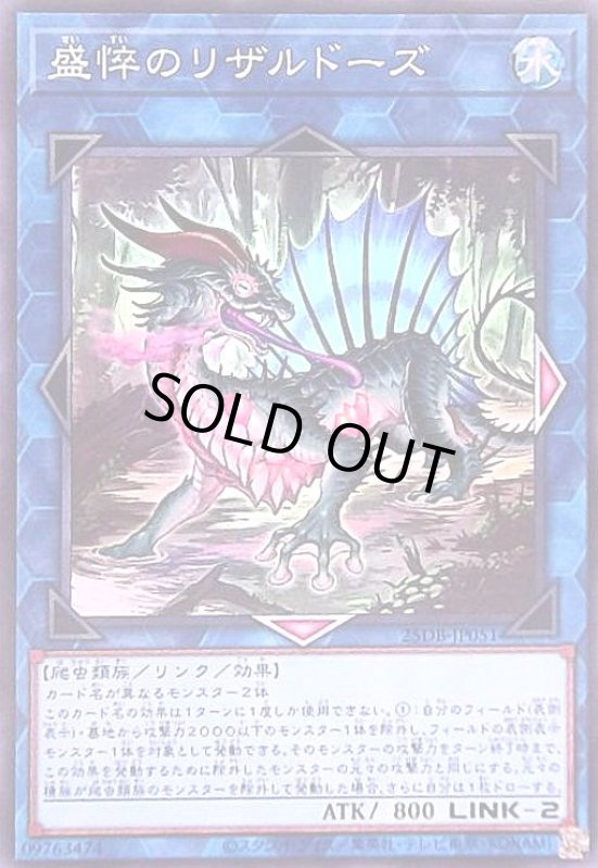 画像1: 盛悴のリザルドーズ(スーパー) (1)