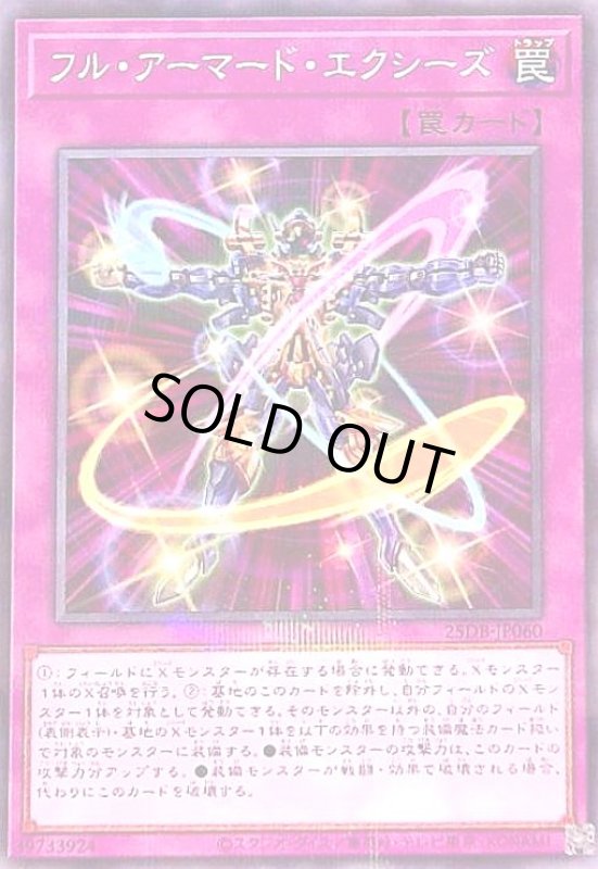 画像1: フル・アーマード・エクシーズ(ノーマルパラレル) (1)