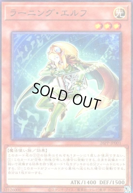 画像1: ラーニング・エルフ(ノーマルパラレル) (1)
