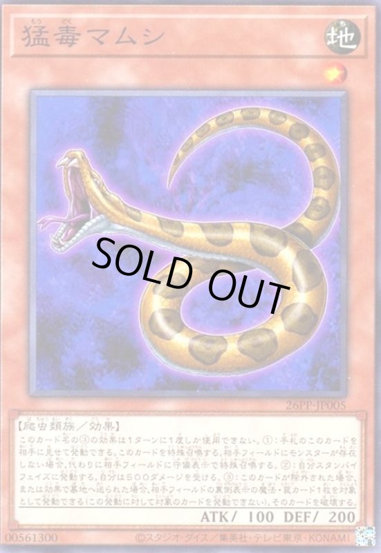 画像1: 猛毒マムシ(高価ノーマル) (1)