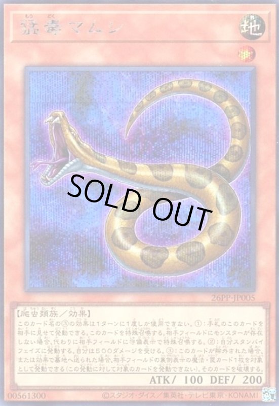 画像1: 猛毒マムシ(シークレット) (1)