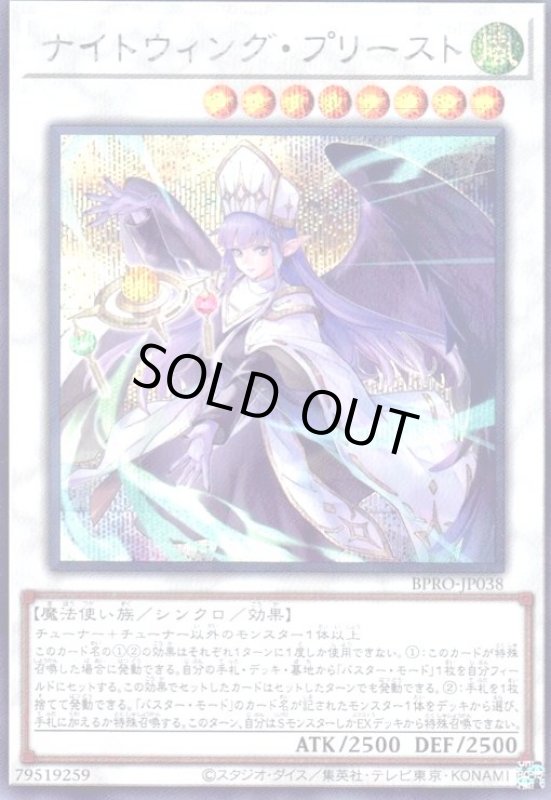 画像1: ナイトウィング・プリースト(シークレット) (1)