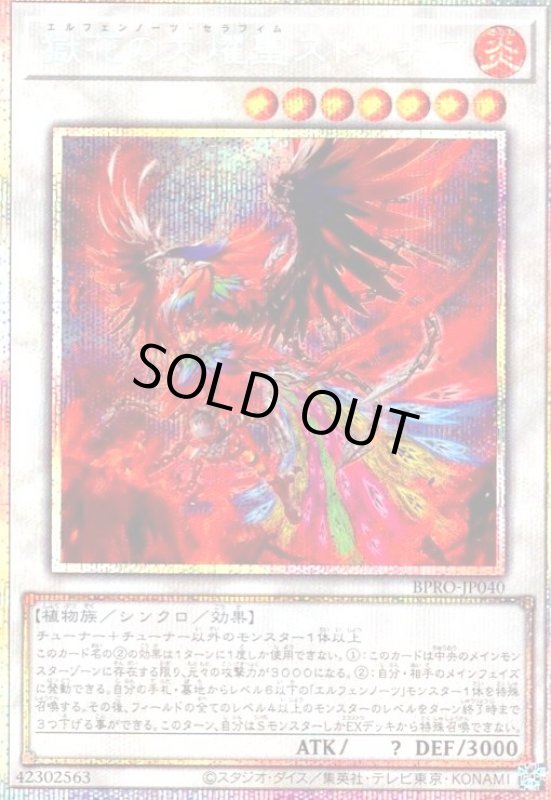 画像1: 獄花の大燿聖ストリチア(プリズマティックシークレット) (1)