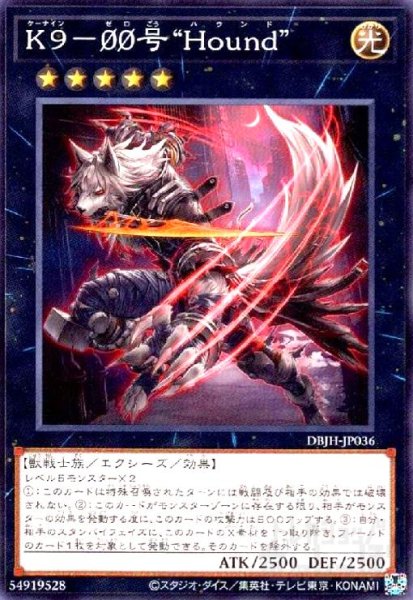 画像1: K9-00号 “Hound(高価N)" (1)