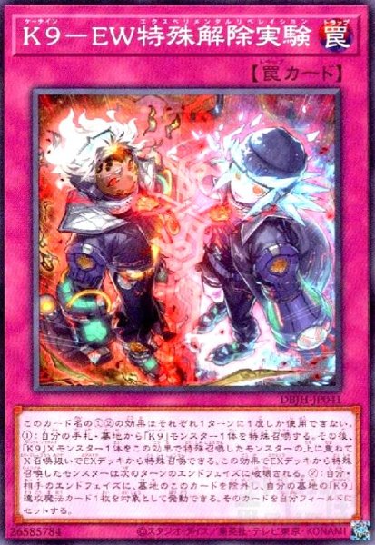 画像1: K9-EW特殊解除実験(高価N) (1)