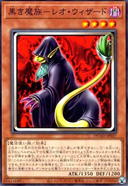 画像1: 黒き魔族-レオ・ウィザード (1)