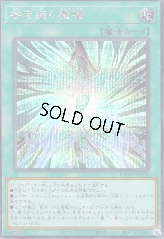 画像1: 咎を擁く魔瞳(シークレット) (1)