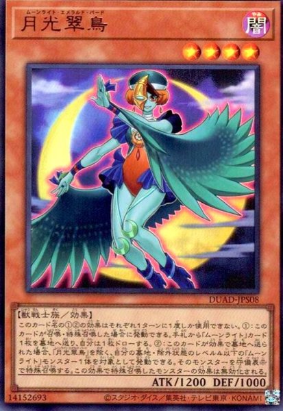 画像1: 月光翠鳥(ウルトラ) (1)
