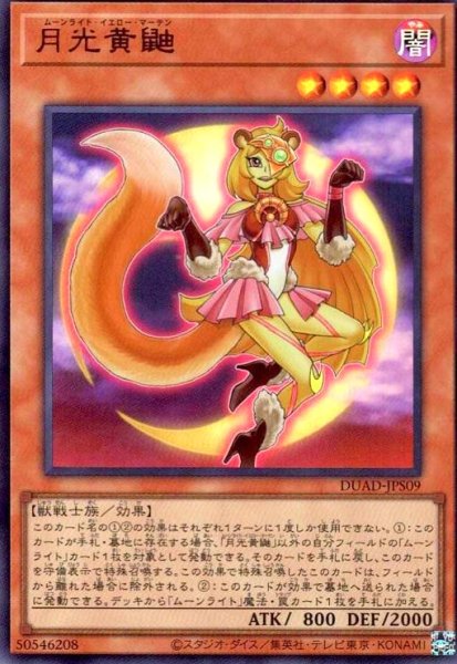 画像1: 月光黄鼬(ウルトラ) (1)