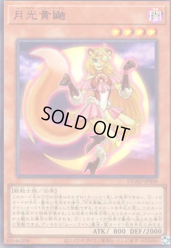 画像1: 月光黄鼬(ウルトラ) (1)