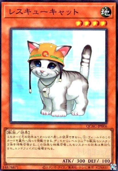 画像1: レスキューキャット(スーパー) (1)