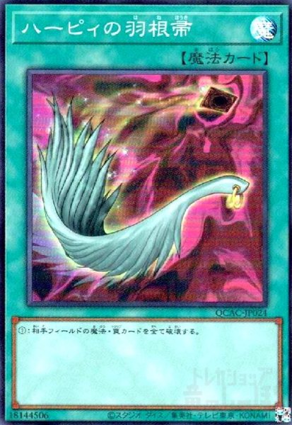 画像1: ハーピィの羽根帚(スーパー) (1)
