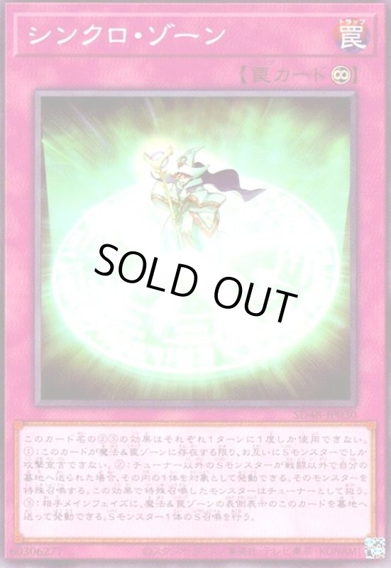 画像1: シンクロ・ゾーン(高価N) (1)