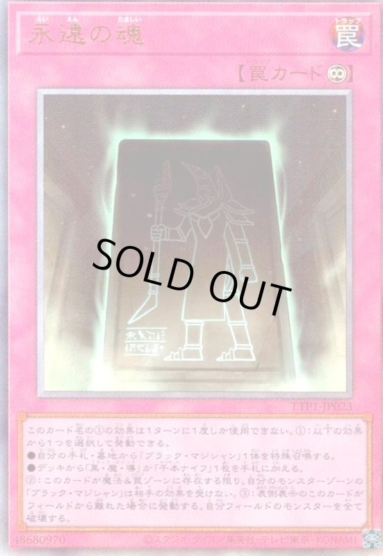 画像1: 永遠の魂(アルティメット) (1)