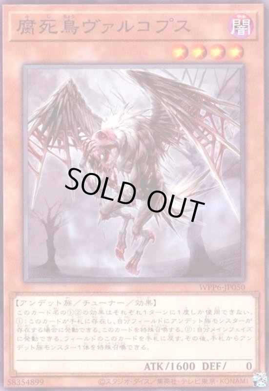 画像1: 腐死鳥ヴァルコプス (1)