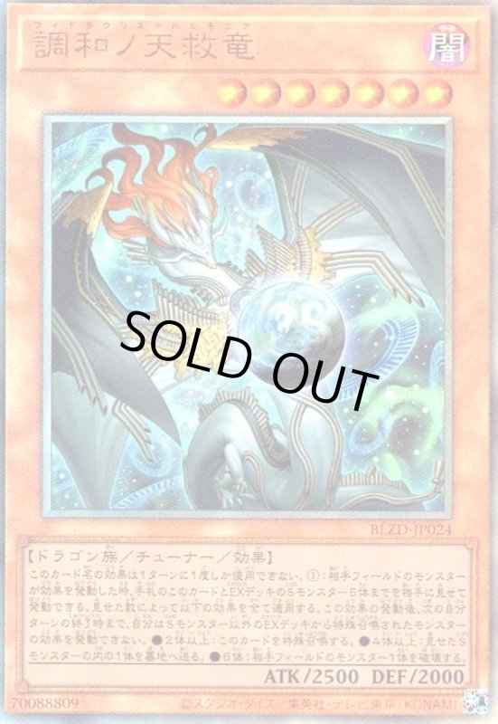 画像1: 調和ノ天救竜(アルティメット) (1)