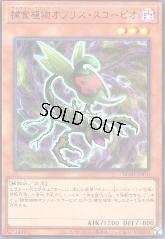 画像1: 捕食植物オフリス・スコーピオ(ウルトラ) (1)