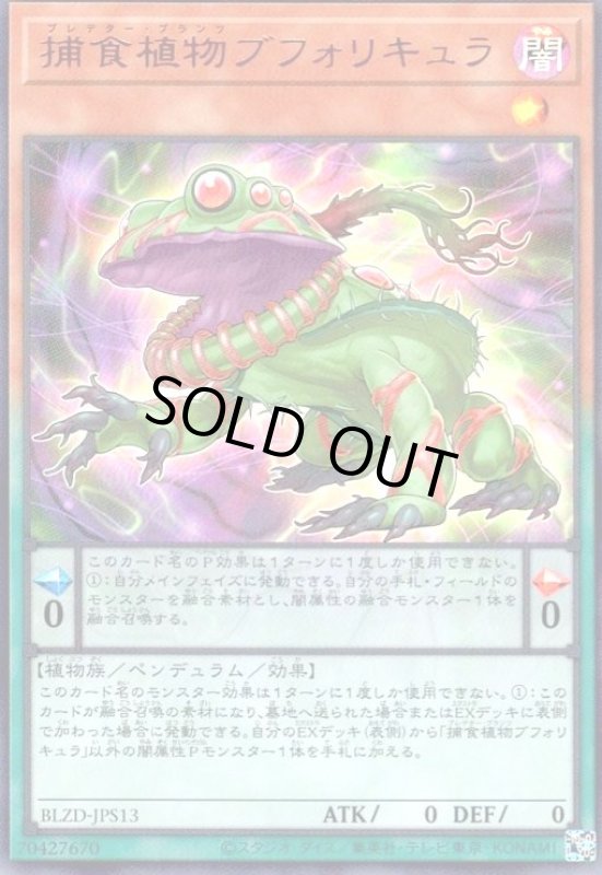 画像1: 捕食植物ブフォリキュラ(ウルトラ) (1)