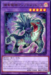 BLAZING DOMINION - トレカショップ竜のしっぽ