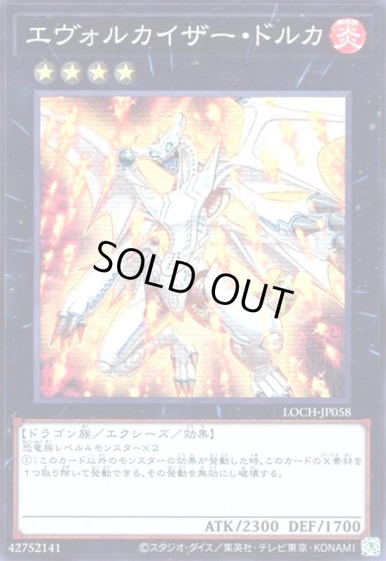 画像1: エヴォルカイザー・ドルカ(スーパー) (1)