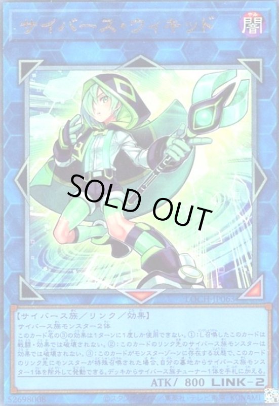 画像1: サイバース・ウィキッド(アルティメット) (1)