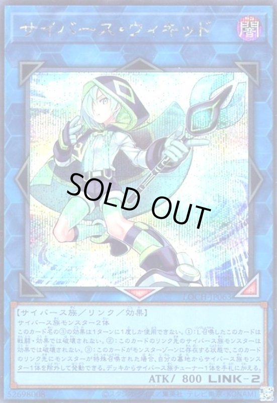 画像1: サイバース・ウィキッド(シークレット) (1)