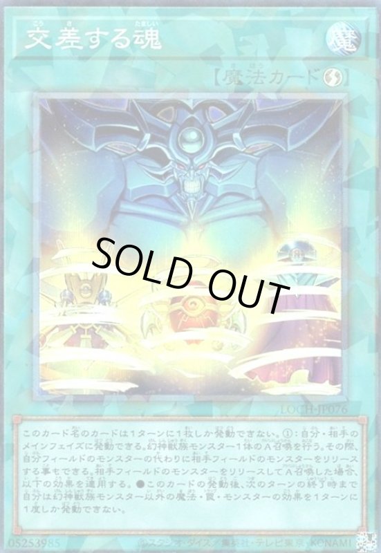 画像1: 交差する魂(コレクターズ) (1)