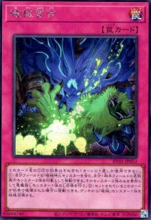 REVOLUTION BOOSTER － トゥーン・ウィッチクラフト・破械 － - トレカ