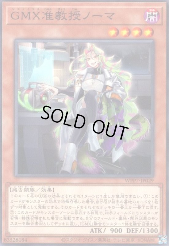 画像1: GMX准教授ノーマ(高価N) (1)