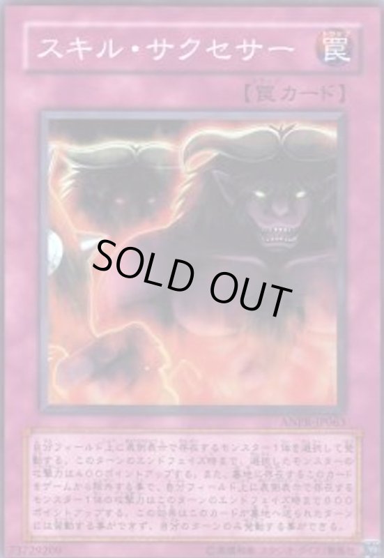 画像1: スキルサクセサー(スーパー) (1)