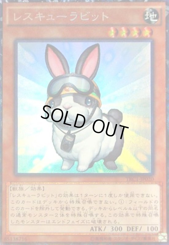 画像1: レスキューラビット(コレクターズ) (1)