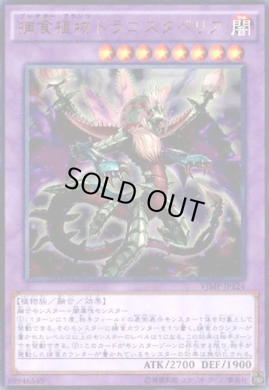 画像1: 捕食植物ドラゴスタペリア(ウルトラ) (1)