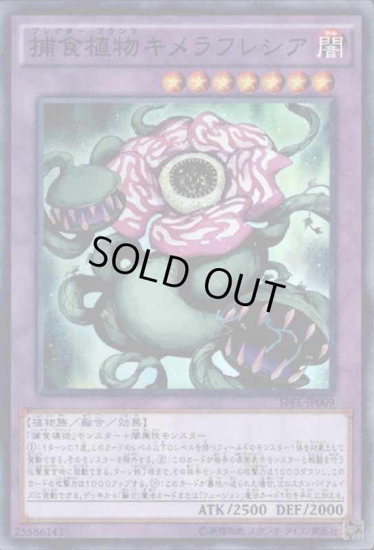 画像1: 捕食植物キメラフレシア(スーパー) (1)