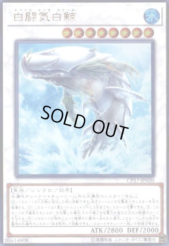 画像1: 白闘気白鯨(ウルトラ) (1)