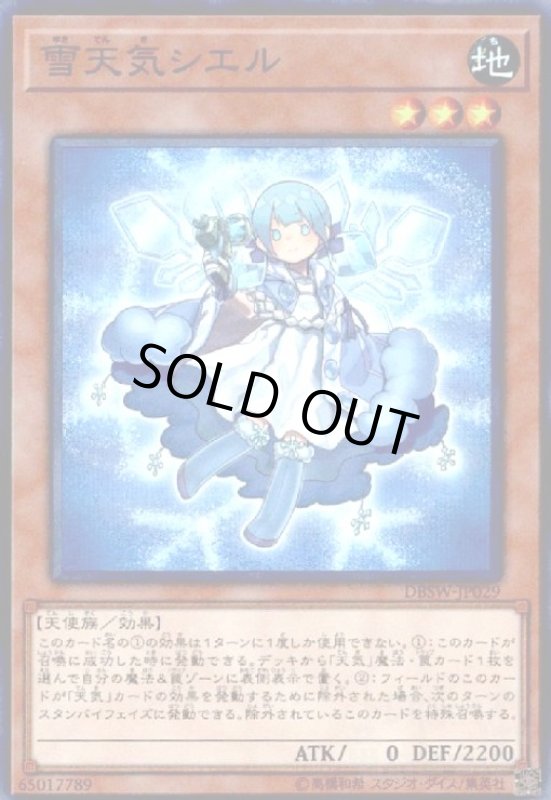 画像1: 雪天気シエル(スーパー) (1)