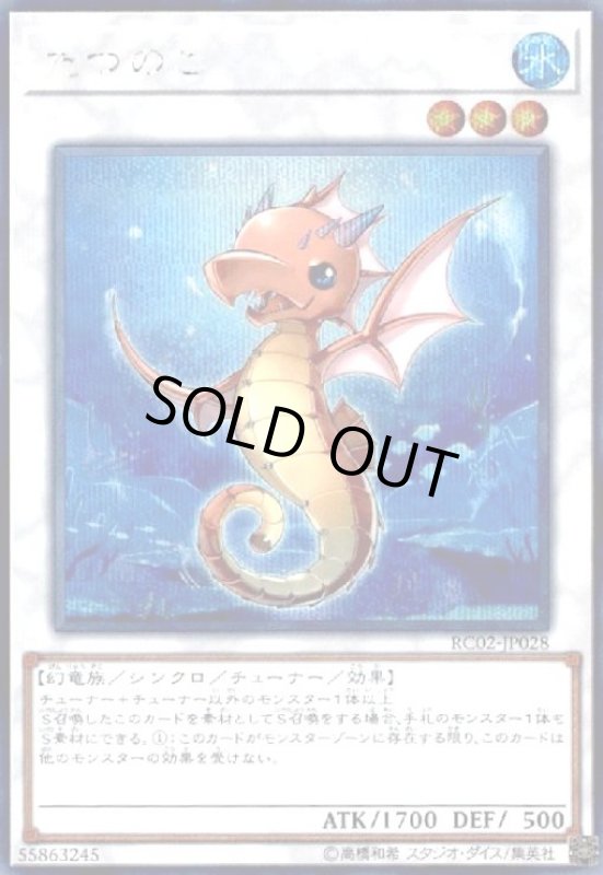 画像1: たつのこ(シークレット) (1)