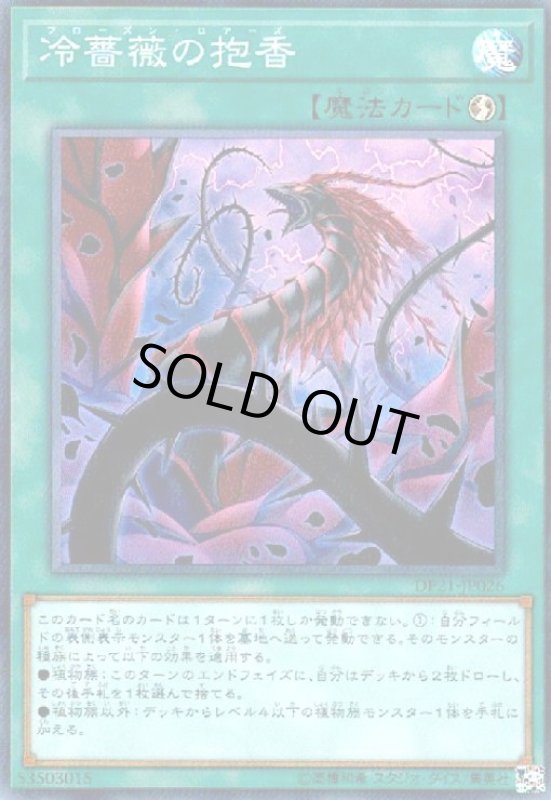 画像1: 冷薔薇の抱香(スーパー) (1)