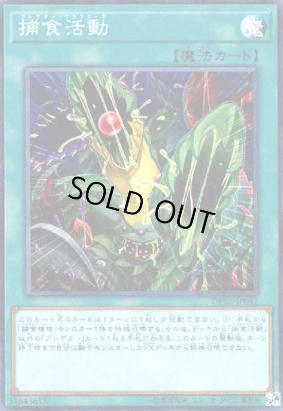 画像1: 捕食活動(スーパー) (1)