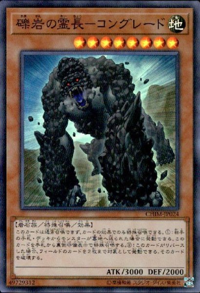 画像1: 礫岩の霊長-コングレード(スーパー) (1)