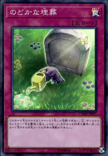 画像1: のどかな埋葬(スーパー) (1)