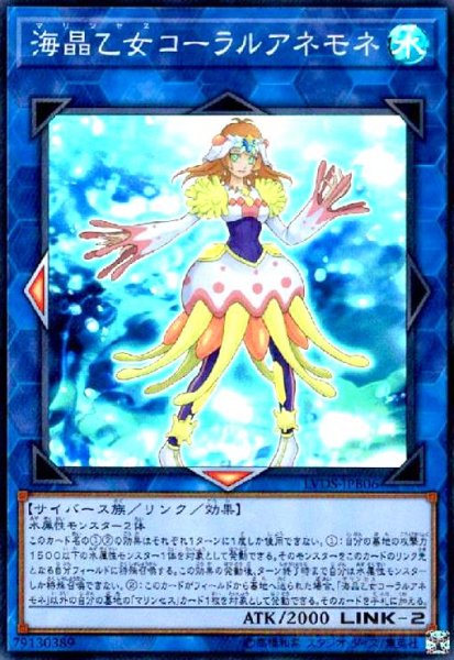 画像1: 海晶乙女コーラルアネモネ(スーパー) (1)