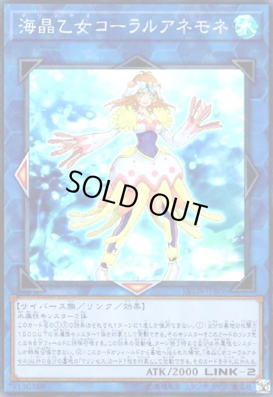 画像1: 海晶乙女コーラルアネモネ(スーパー) (1)