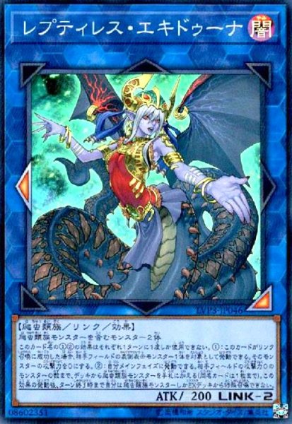 画像1: レプティレスエキドゥーナ(スーパー) (1)