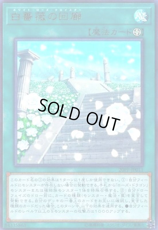 画像1: 白薔薇の回廊(ウルトラ) (1)