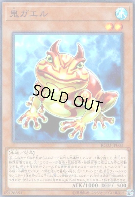 画像1: 鬼ガエル(スーパー) (1)