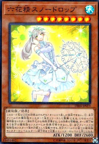 画像1: 六花精スノードロップ(スーパー) (1)
